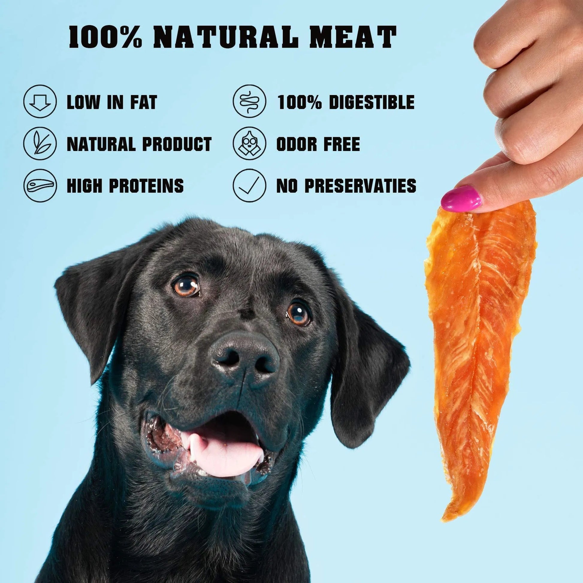 Dog enjoying Human Grade Chicken Jerky Dog Treats