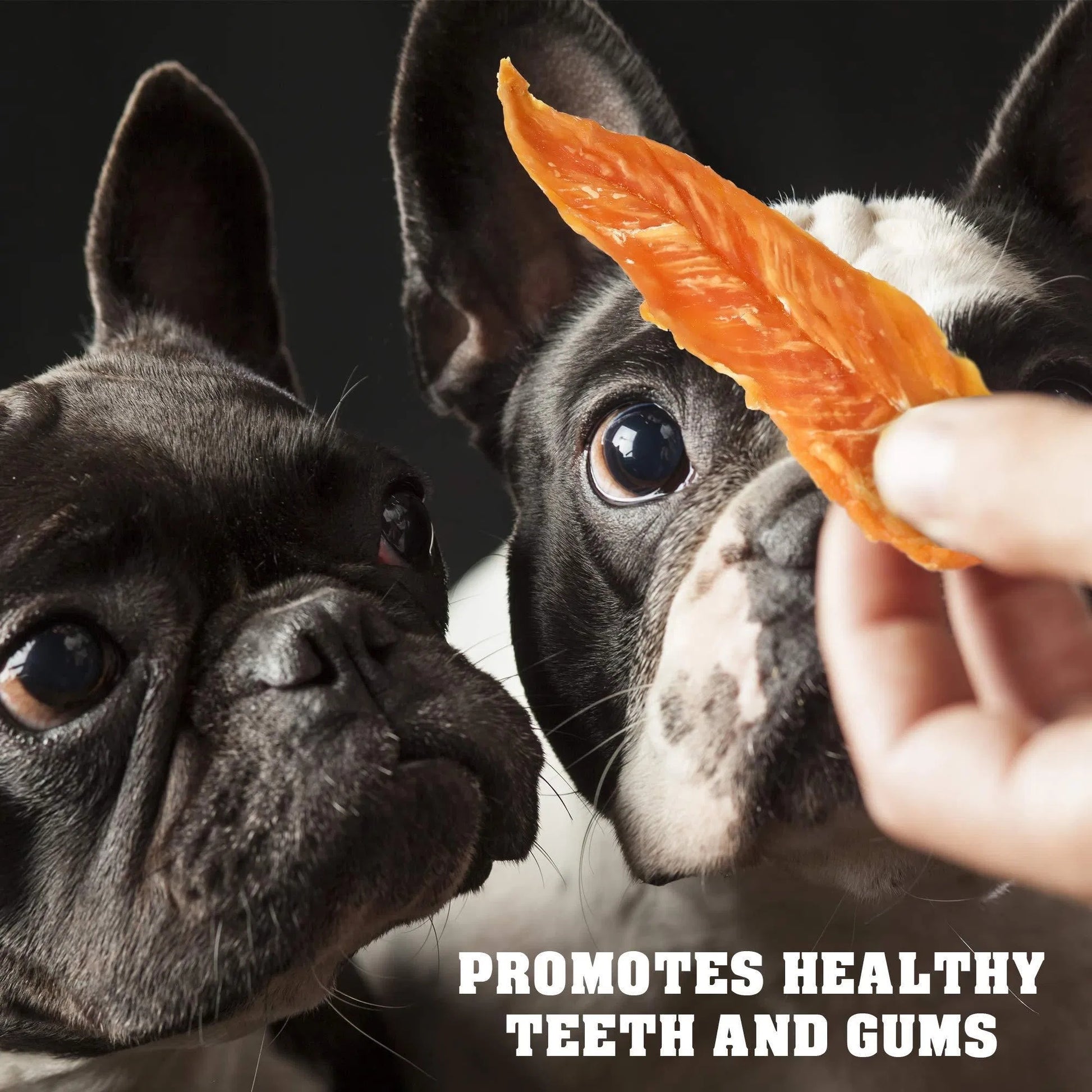 Grain-free Human Grade Chicken Jerky Dog Treats for pets